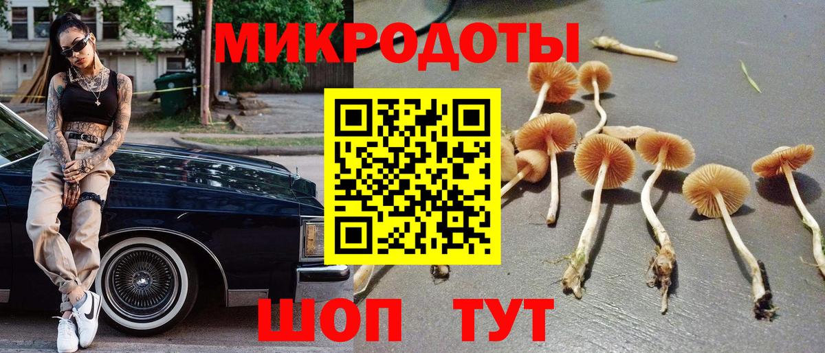 Вичуга  Галлюциногенные грибы MAGIC MUSHROOMS  Вход с VPN 