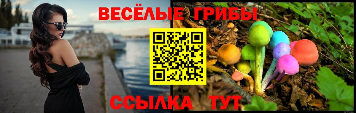 Галлюциногенные грибы GOLDEN TEACHER Вичуга